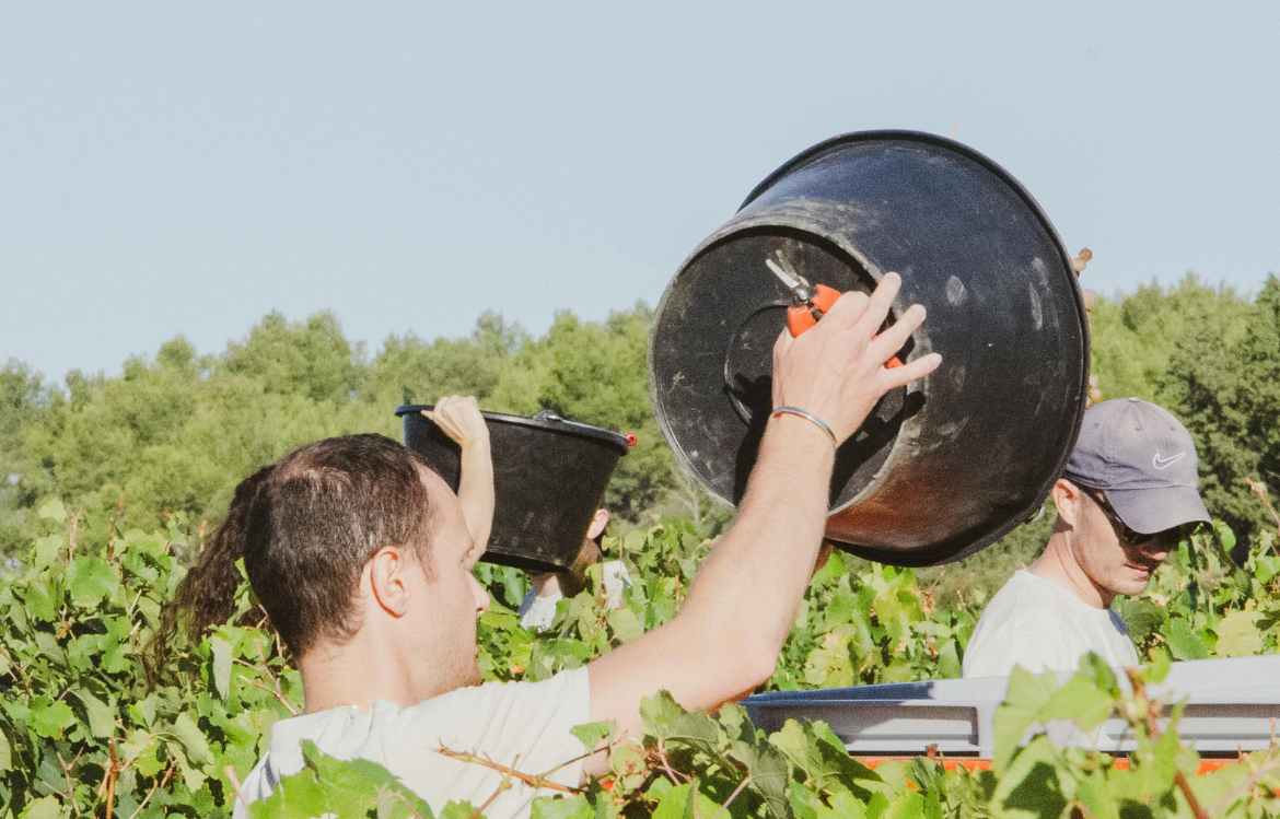 Chantiers et biodiversité : vers une meilleure protection des écosystèmes