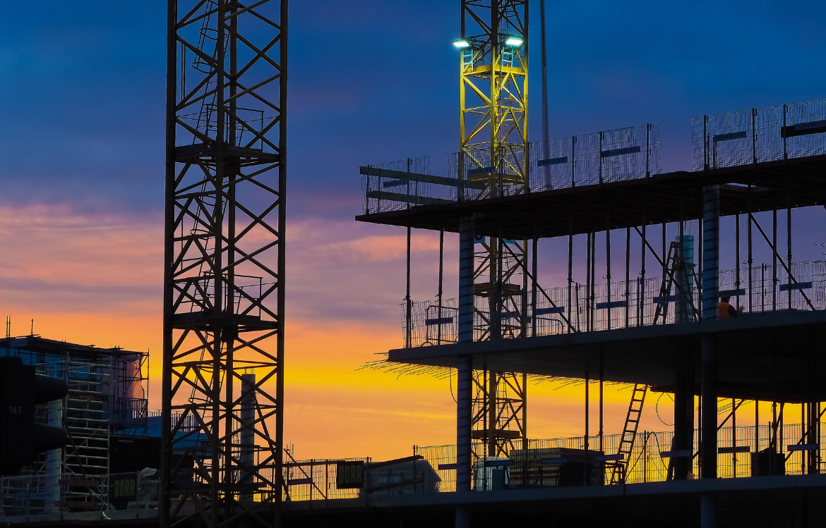 Travaux publics et biodiversité : protéger la faune et la flore lors des chantiers