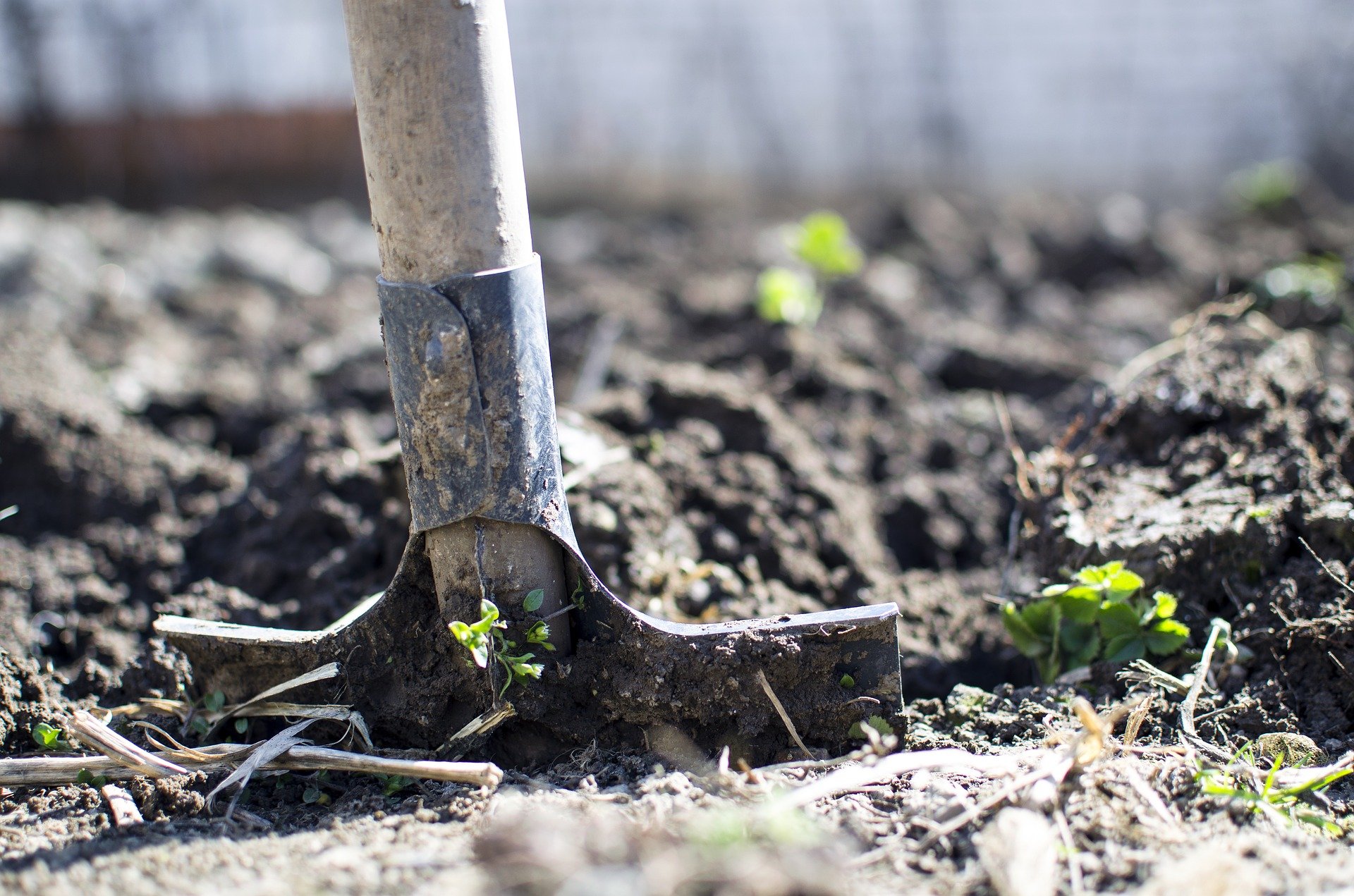 Canicule : Comment s’adapter sur les chantiers? 