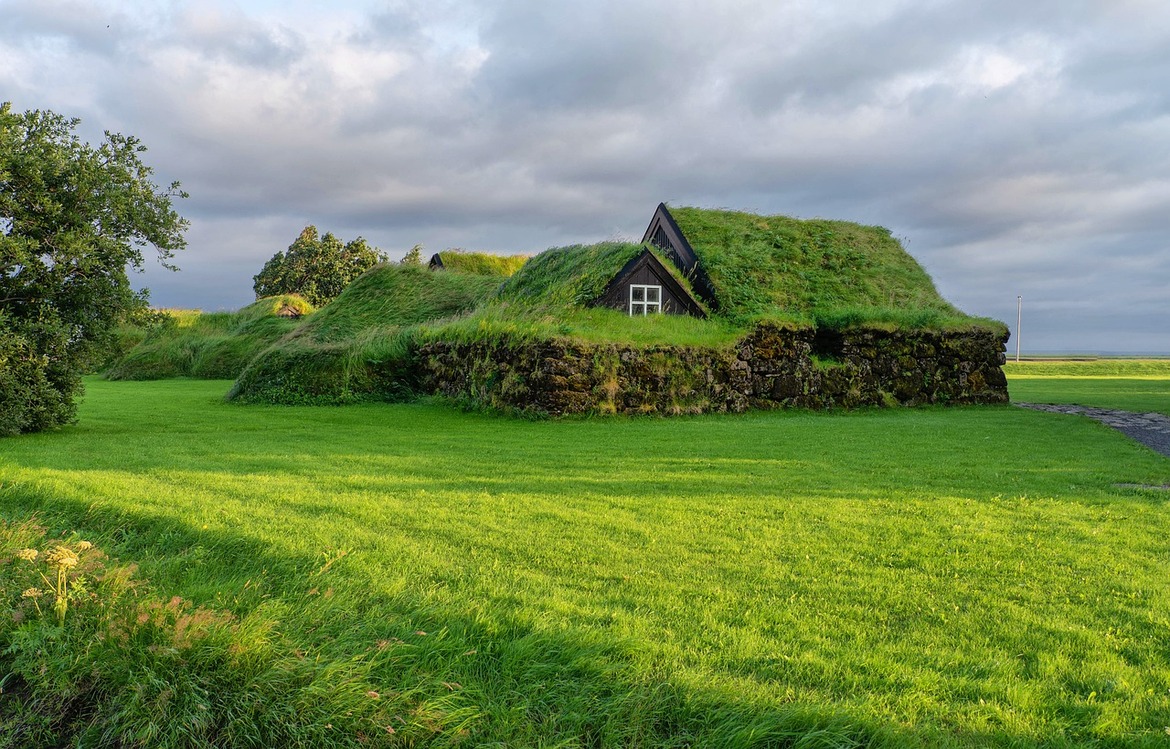 Points forts et points faibles des toits verts