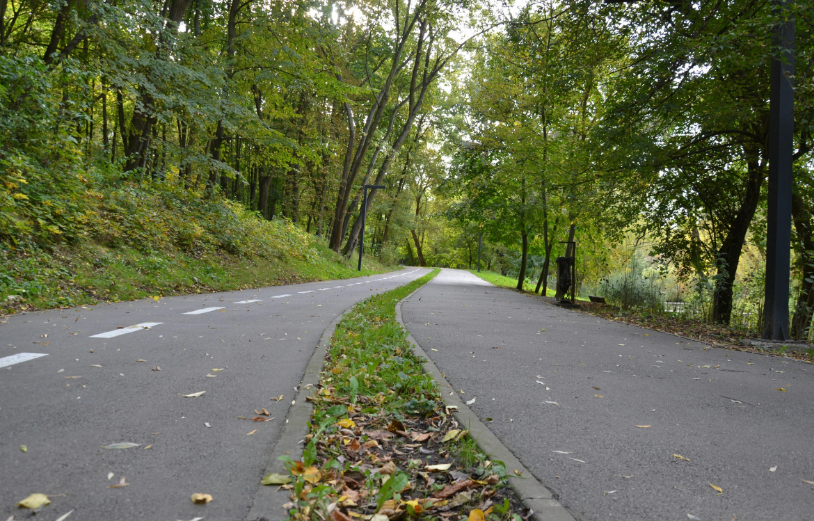 Les chaussées drainantes : fonctionnement et avantages en milieu urbain