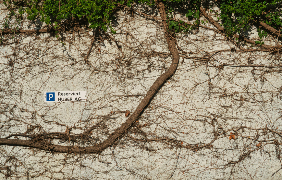 Les parkings de demain : concevoir des espaces évolutifs pour répondre aux nouveaux usages